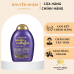 Dầu Gội Kích Thích Mọc Tóc Biotin & Collagen